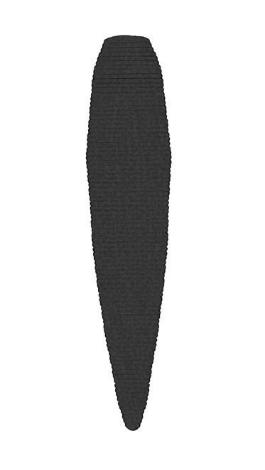 Haemopis caballeroi, a leech of the family Haemopidae