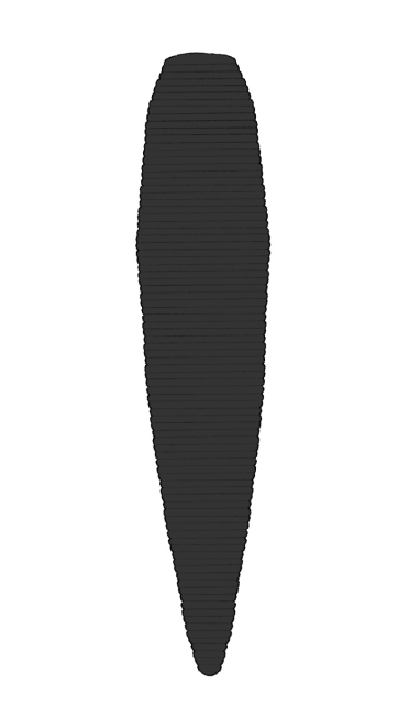 Haemopis ottorum, a leech of the family Haemopidae