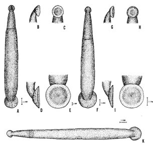 Janusion philotherma, a leech of the family Piscicolidae