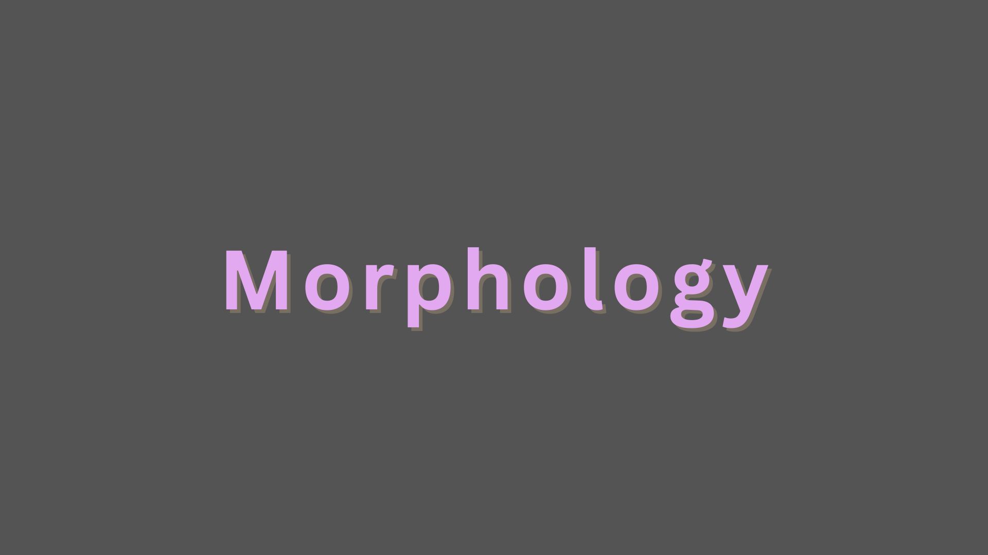 Morphology Illustration
